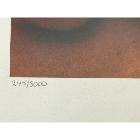 Harvey Edwards First Recital Signed Ltd Ed 245/3000 COA 1994 Framed Ballet 18×24 - Picture 4 of 5